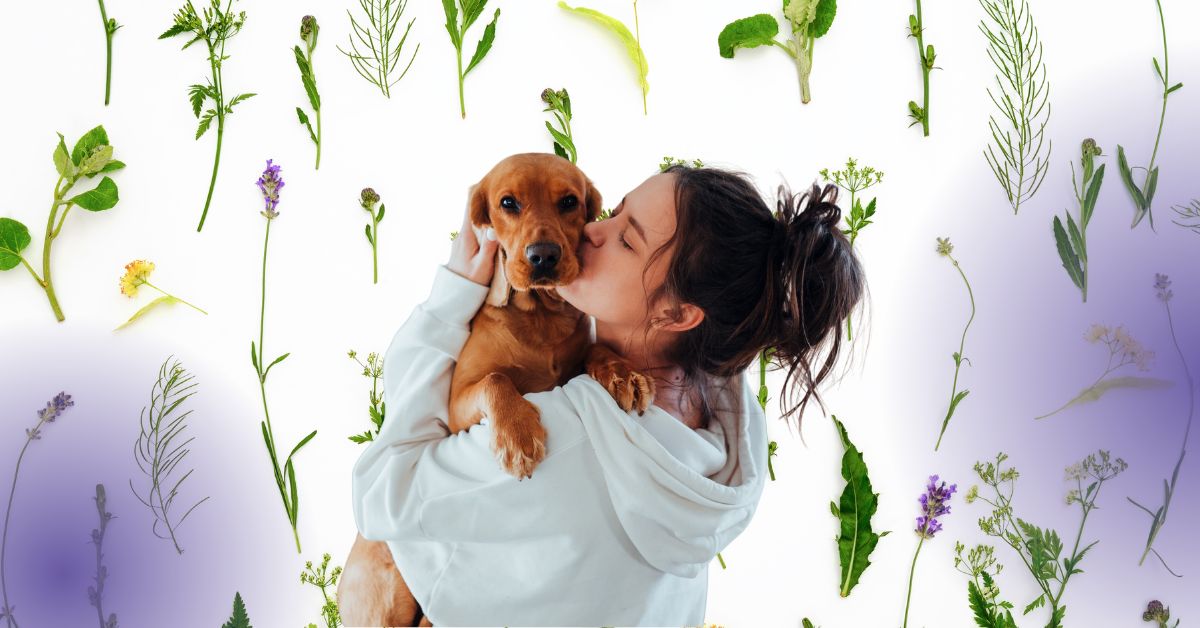 Natürliche Kräuter-Power für deinen Hund