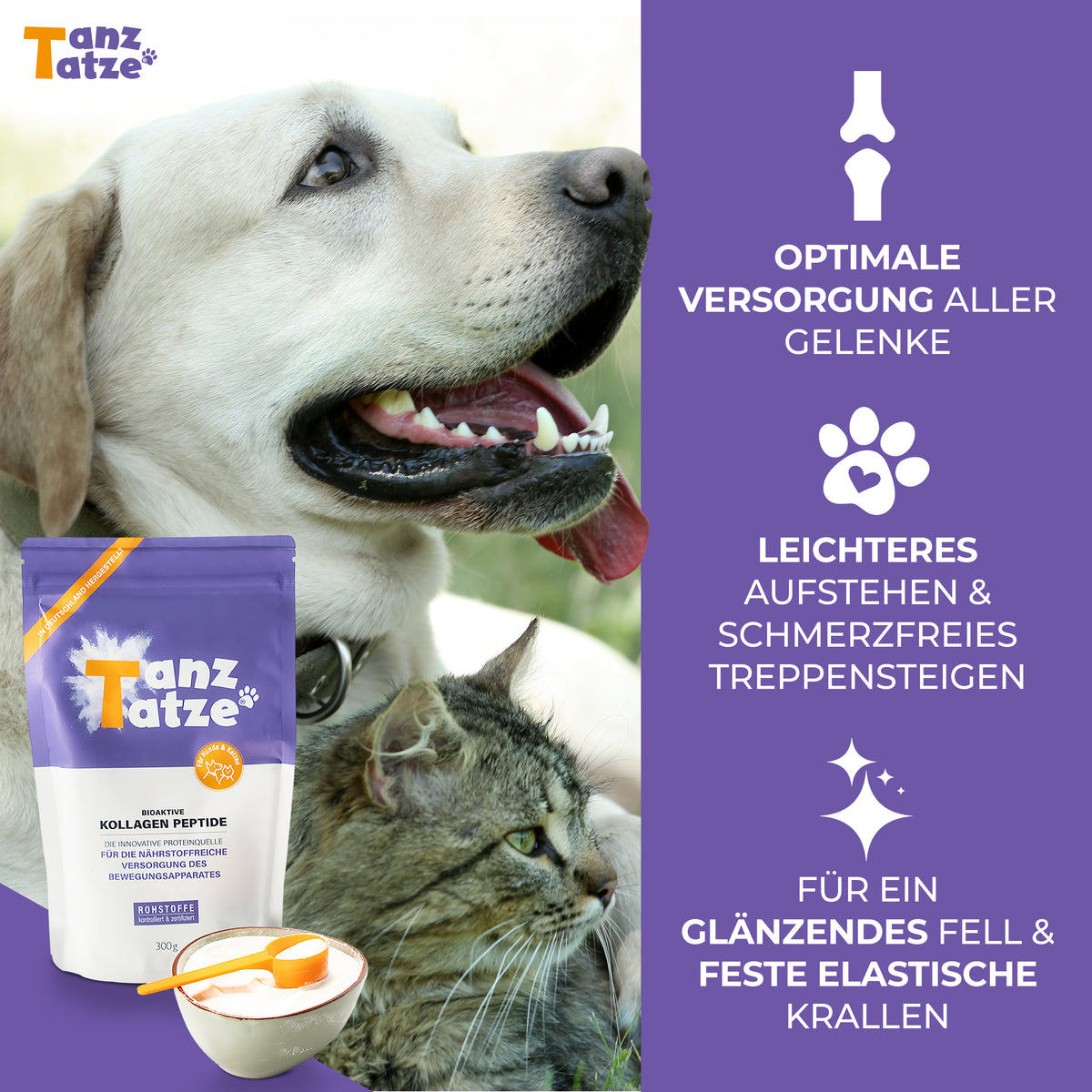 TanzTatze Aktivkollagen Dog 225g - Gelenkpulver zum Knorpelaufbau