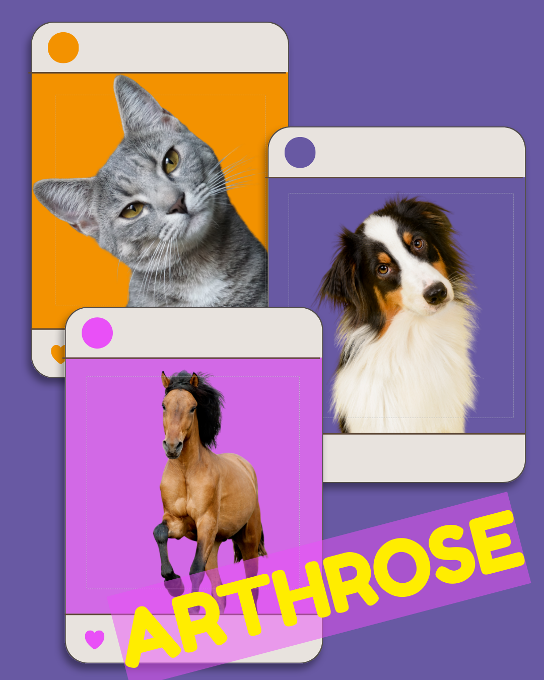 Motiv mit Hund, Katze und Pferd, Überschrift ‚Arthrose bei Hund · Katze · Pferd‘, orange-lila pink.