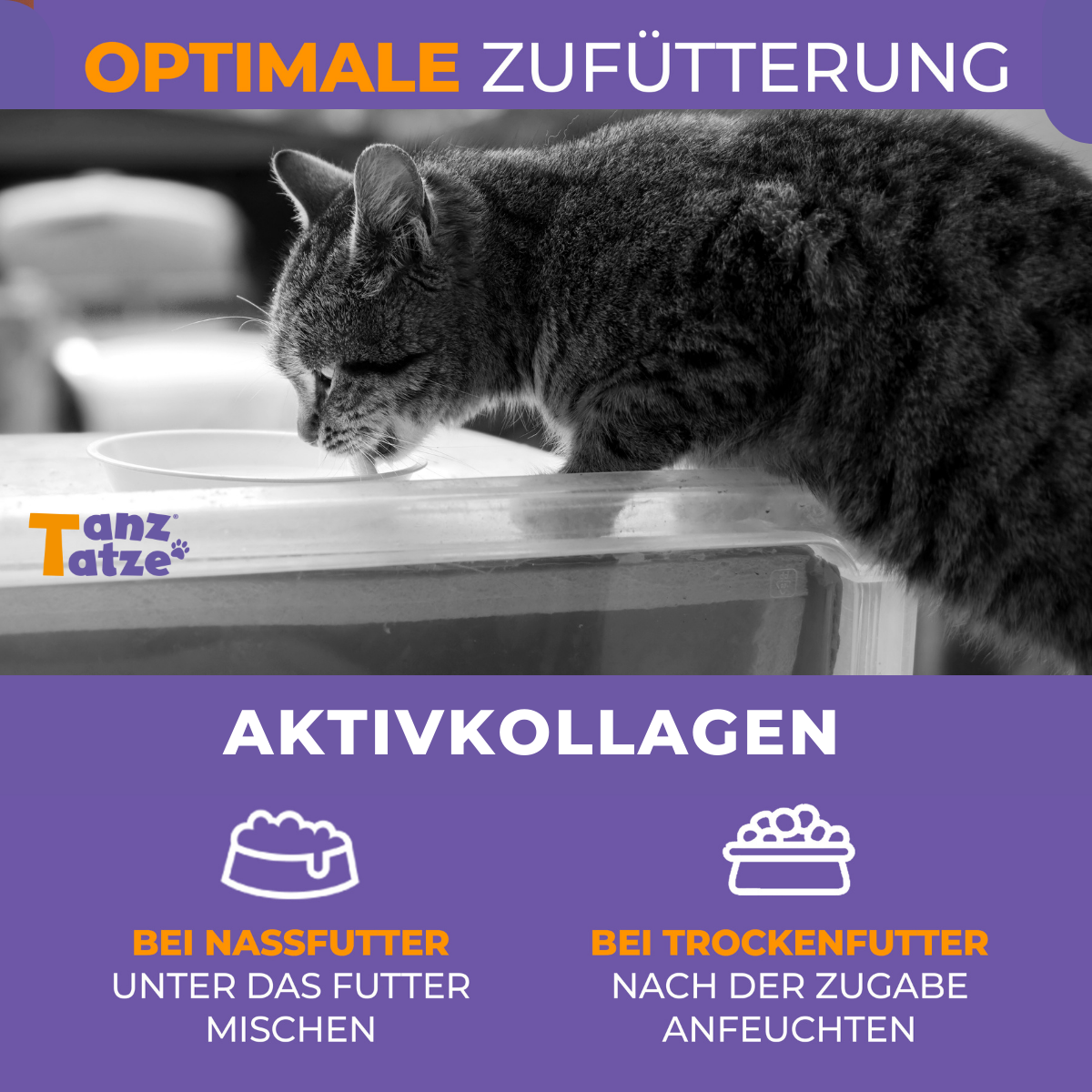 TanzTatze Aktivkollagen - Gelenkpulver zum Knorpelaufbau - 140 g