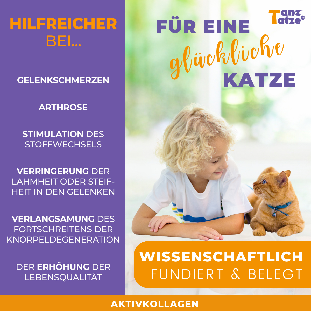 TanzTatze Aktivkollagen - Gelenkpulver zum Knorpelaufbau - 140 g