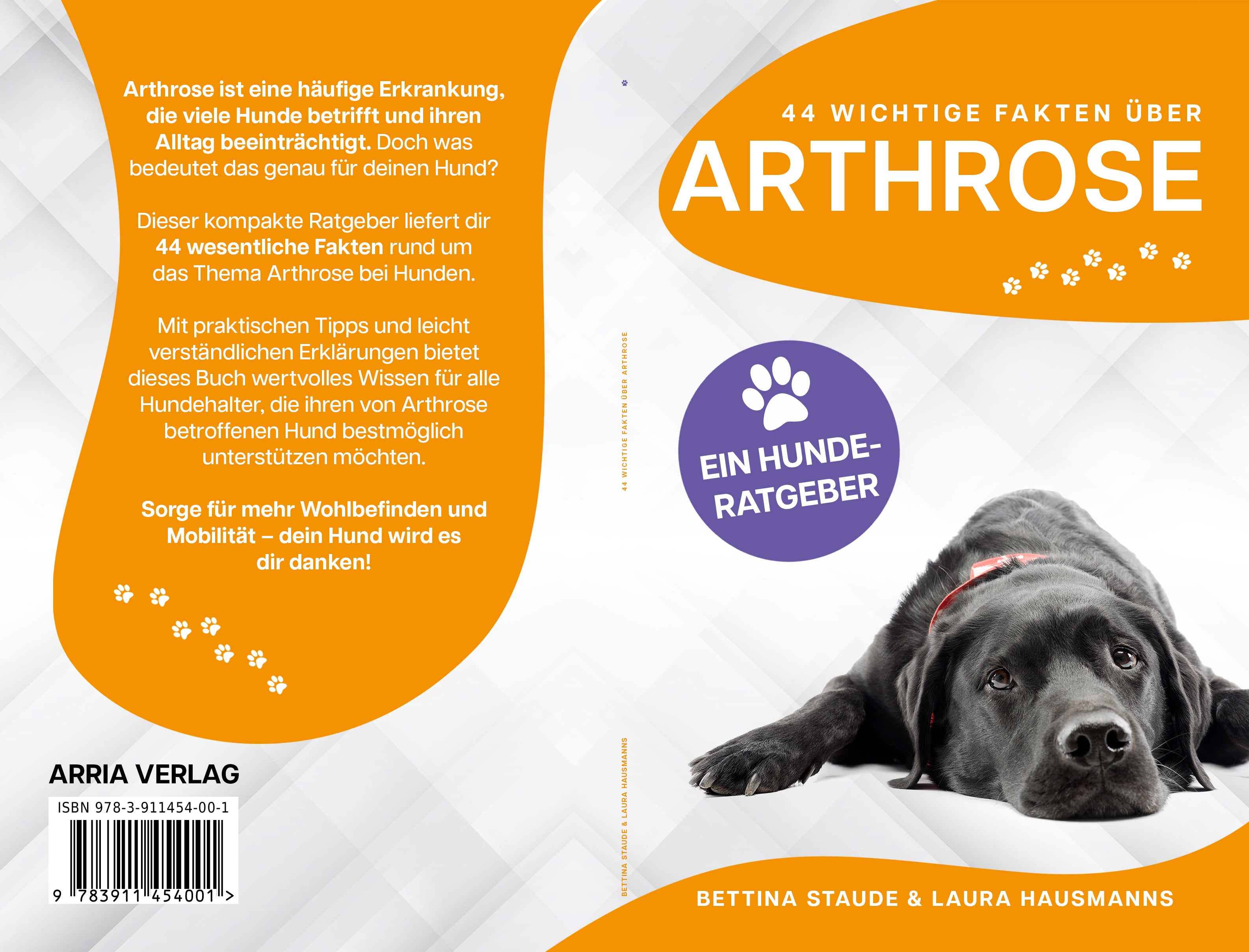 44 wichtige Fakten über Arthrose – Ein Hunderatgeber