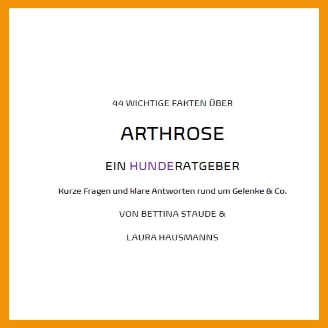44 wichtige Fakten über Arthrose – Ein Hunderatgeber