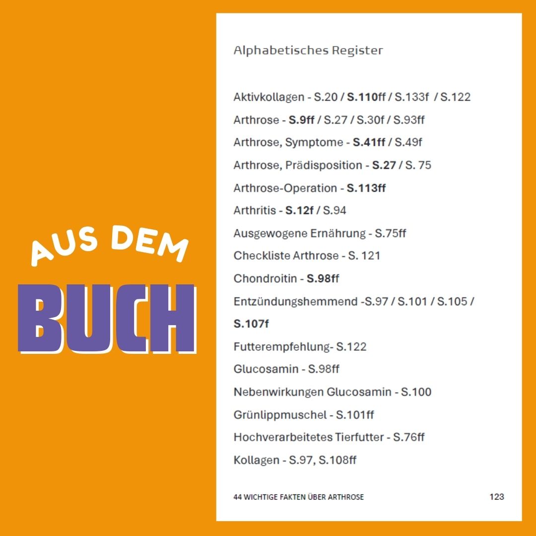 44 wichtige Fakten über Arthrose – Ein Hunderatgeber