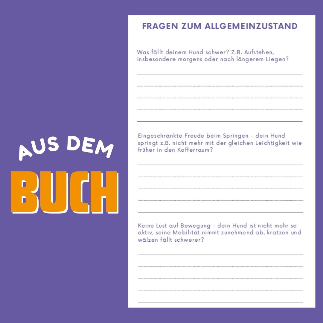 ARTHROSE IM GRIFF: Dein HUNDETAGEBUCH zum Ausfüllen