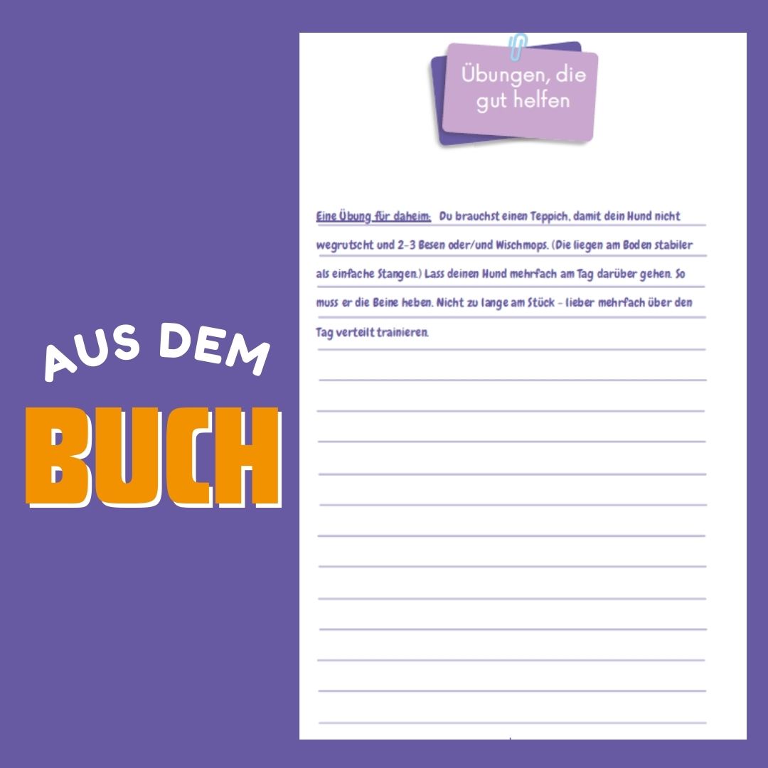 ARTHROSE IM GRIFF: Dein HUNDETAGEBUCH zum Ausfüllen