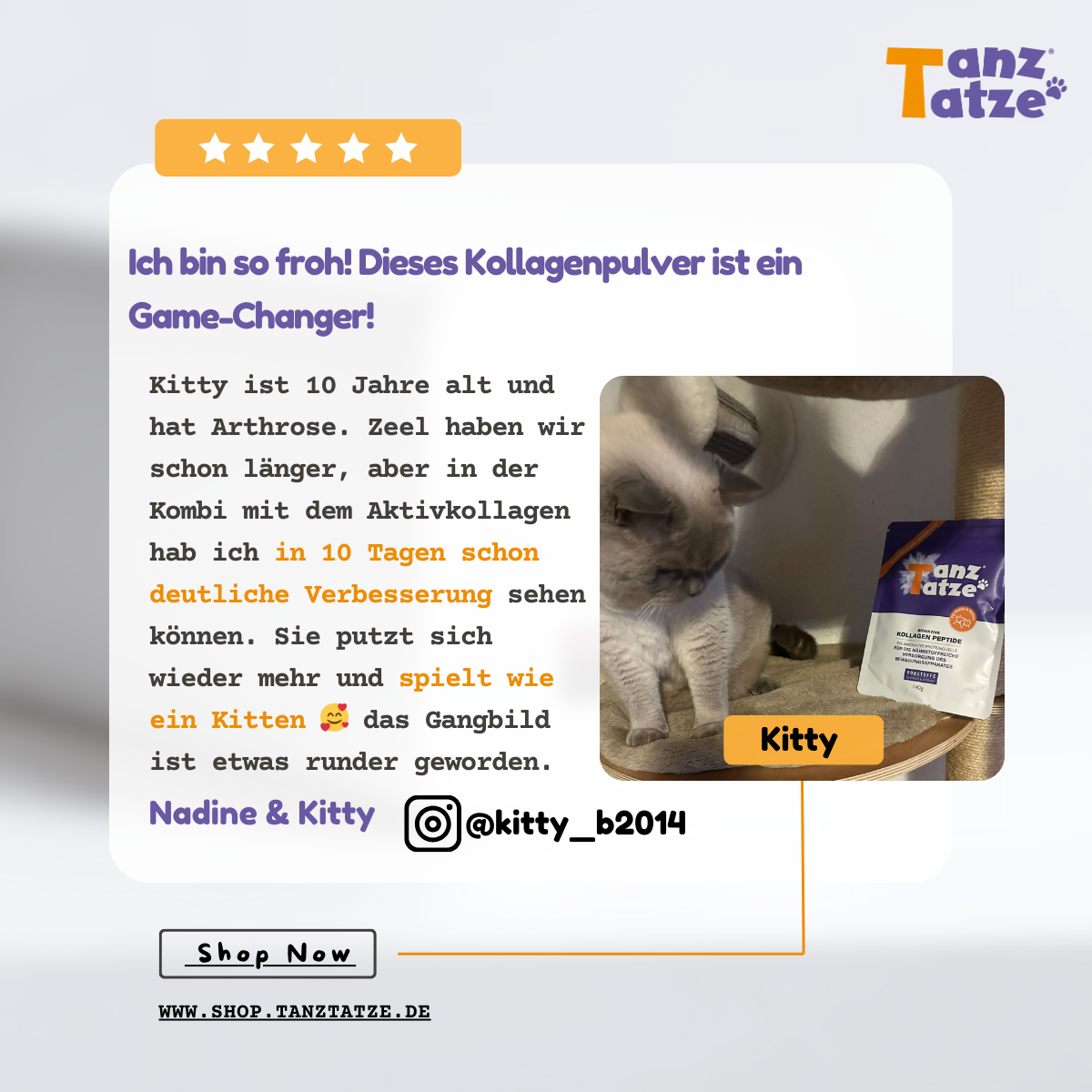 TanzTatze Aktivkollagen - Gelenkpulver zum Knorpelaufbau - 140 g