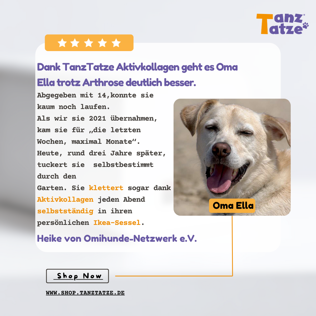 TanzTatze Aktivkollagen - Gelenkpulver zum Knorpelaufbau - 300 g