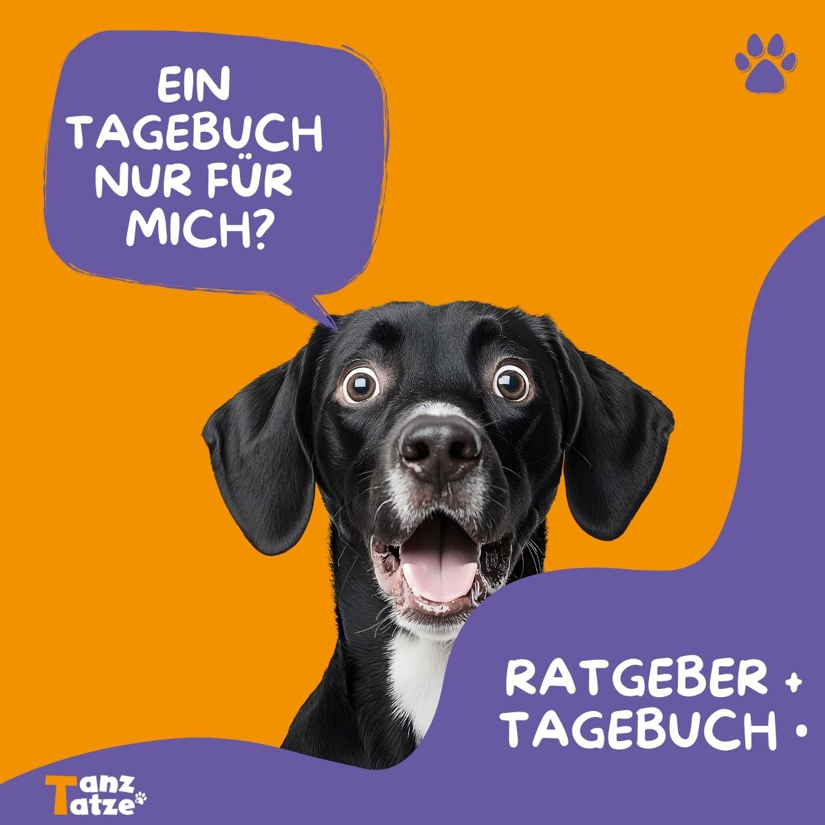 ARTHROSE IM GRIFF: Dein HUNDETAGEBUCH zum Ausfüllen