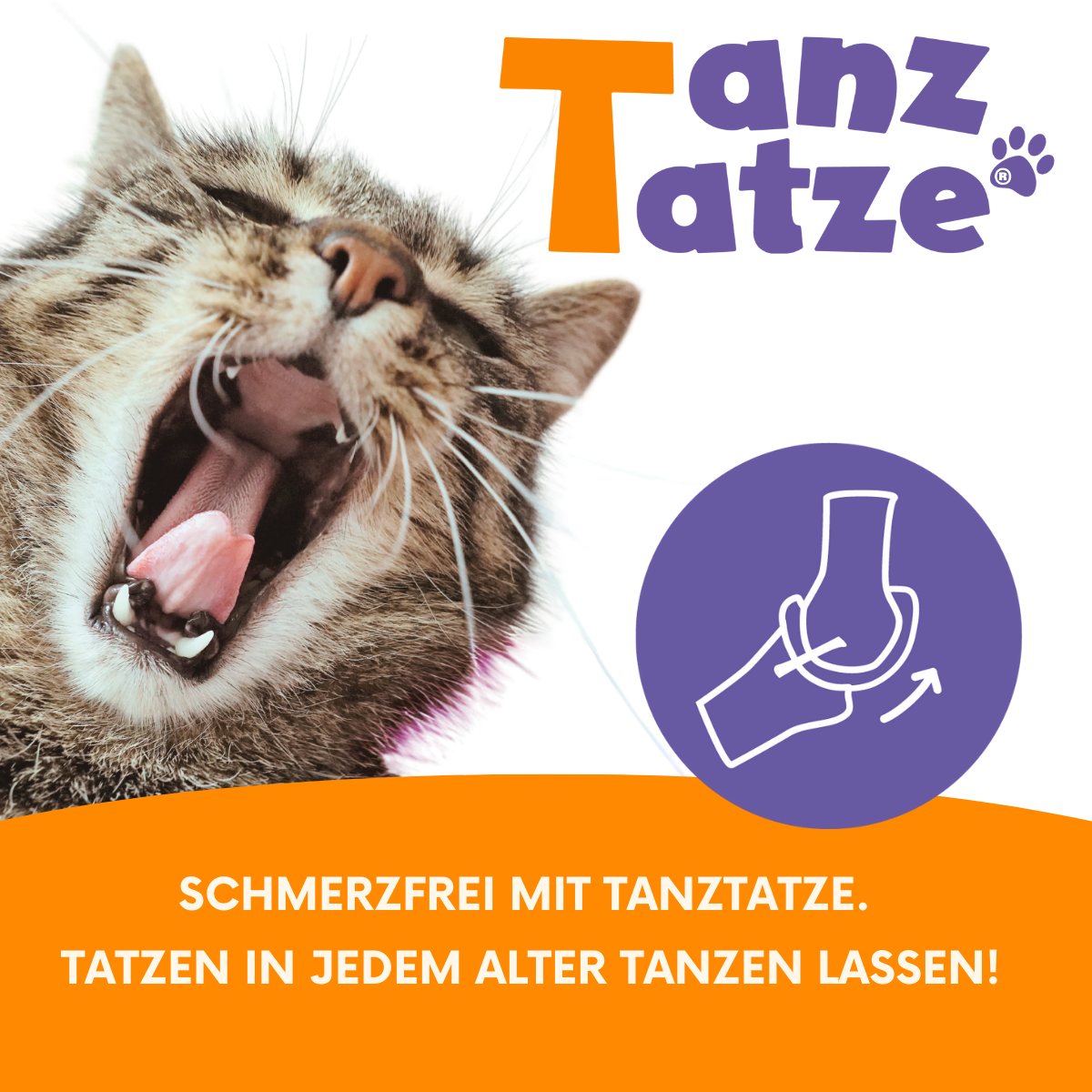 TanzTatze Aktivkollagen - Gelenkpulver zum Knorpelaufbau - 140 g