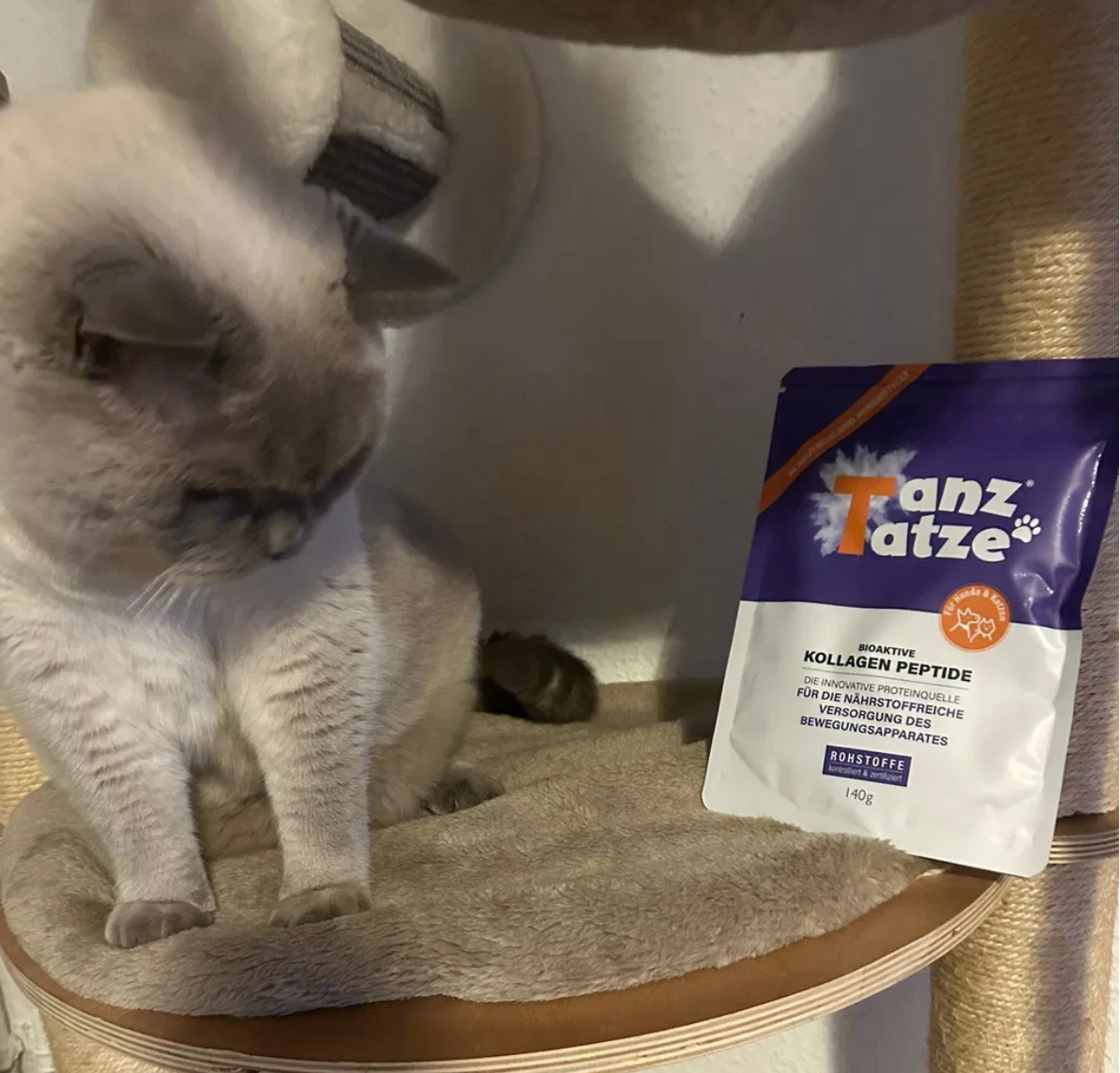 Katze neben einem TanzTatze Beutel