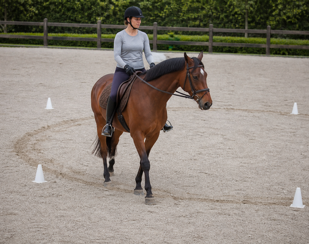 Pferd reitet eine Volte zwischen Pylonen